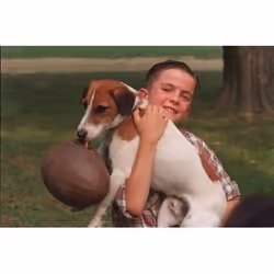 Warner Home Video My Dog Skip DVD English