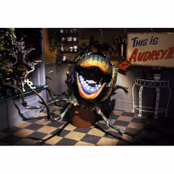 Warner Home Video Little Shop Of Horrors DVD English