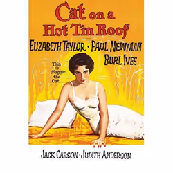 Warner Home Video Cat On A Hot Tin Roof, DVD, English, Drama, 2D, 108 min, 20/09/1958