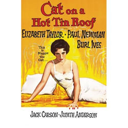 Warner Home Video Cat On A Hot Tin Roof DVD English
