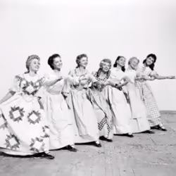 Warner Home Video Seven Brides For Seven Brothers DVD English