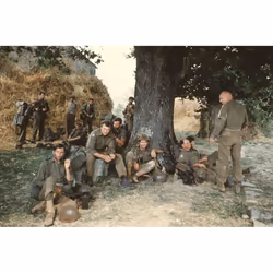Warner Home Video Kelly's Heroes DVD English