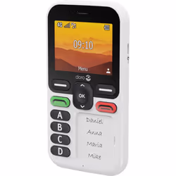 Doro Leva X10 6.1 cm (2.4") 117 g Black, White Senior phone