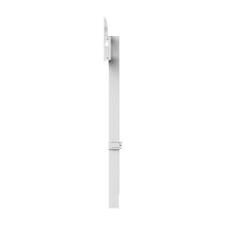 SMS Smart Media Solutions Wand-/Bodenhalterung für Displays - 120kg 800x400 2.49 m (98")