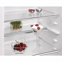 AEG SKB818F1DC fridge Built-in 310 L F White