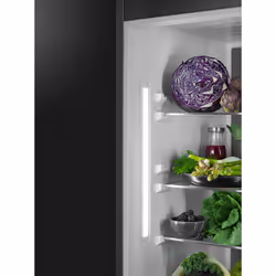 AEG SKS818E9ZC - 923586028 fridge Built-in 276 L E White