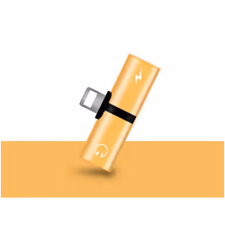 Lightning -> Lightning + Lightning audio adapter