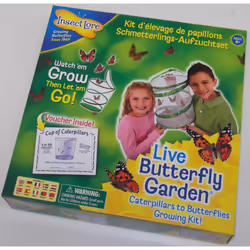 Live Butterfly Garden - Butterfly Breeding Kit