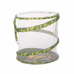 Living Twig Stick Insect Kit