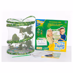 Living Twig Stick Insect Kit - Additional view 5