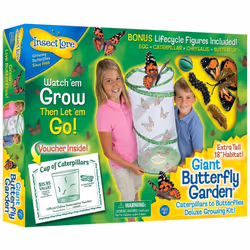 Giant Butterfly Garden