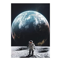 Astronaut Drinking Beer on Moon While Watching Earth Destroy Modern Canvas Painting Posters Prints Living Room Wall Art - multicolor, 40x60cm No Frame