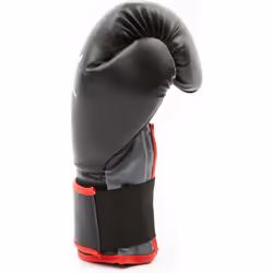 Everlast 14 oz Boxing Gloves