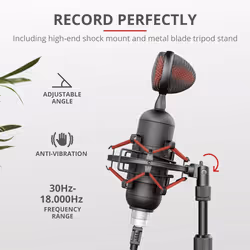 Trust GXT 244 Buzz USB Streaming Microphone Warm, Rich And Clear Audio