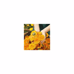 Weleda baby & child Calendula Body Lotion200ml