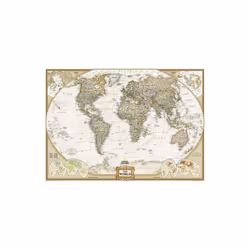 National Geographic Maps NGMRE00620092 World Executive Mural Map