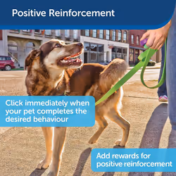 PetSafe Clik-R Training Tool, Obedience Aid, Clicker For Dogs - CLKR-RTL