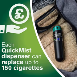 Nicorette QuickMist Cool Berry Mouth Spray, 1 mg/Spray, Single Pack - 150 Sprays (Quit Smoking & Stop Smoking Aid)