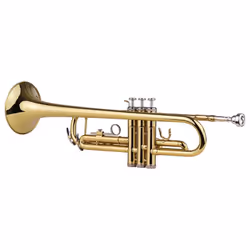 Muslady Trumpet Bb B Flat Brass Exquisite with Mouthpiece Gloves