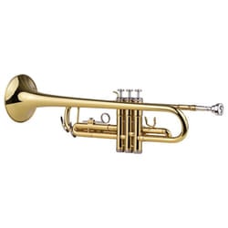 Muslady Trumpet Bb B Flat Brass Exquisite with Mouthpiece Gloves
