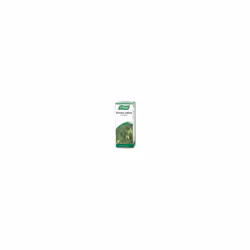 Avena Sativa Oat Drops 50ml