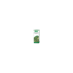 Avena Sativa Oat Drops 50ml