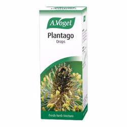 A.Vogel Plantago Lanceolata Tincture Drops 50ml