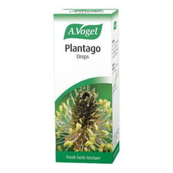 A.Vogel Plantago Lanceolata Tincture Drops 50ml