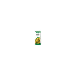 Solidago Complex 50ml