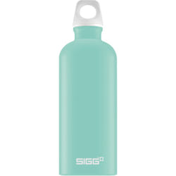 SIGG - Recycled Metal Water Bottle - Traveller - Made in Switzerland - Carbonated Drinks - BPA-Free - 20 Oz