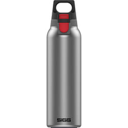 SIGG - Insulated Thermo Flask Hot & Cold ONE Light - With Fruit Filter - Leakproof - BPA-Free 18/8 Stainless Steel 19Oz