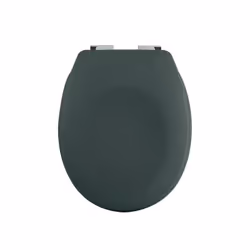 Spirella 10.21266, Elongated, Hard toilet seat, Green, ABS, Duroplast, 371 mm, 455 mm