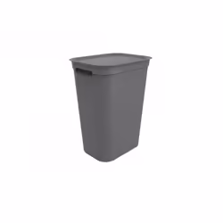 Rotho Brisen, 50 L, Rectangular, Plastic, Anthracite, Manual, 340 mm