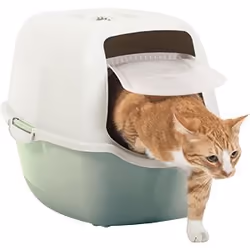 Rotho Bailey Cat Hooded litter box Green, White