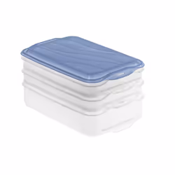 Rotho RONDO, Container, Rectangular, Blue, Transparent, Plastic, 160 mm, 240 mm