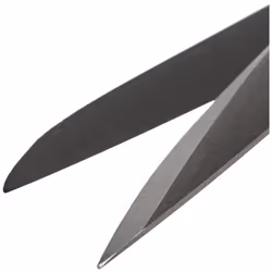 Stainless Household/Professional Scissors, Black/Silver, 16 x 5 x 5 cm