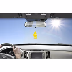 ARBRE MAGIQUE Lemon 192517 Air freshener Bag