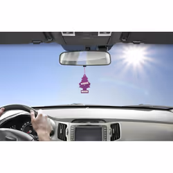 ARBRE MAGIQUE Lavender 192518 Air freshener Bag