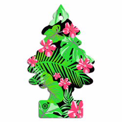 Little Trees Air Freshener Tree MTR0081 Jungle Fever Fragrance For car Home Boat caravan - Single Pack