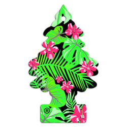 Little Trees Air Freshener Tree MTR0081 Jungle Fever Fragrance For car Home Boat caravan - Single Pack