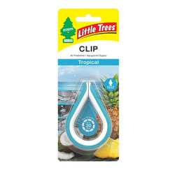 Wunder-Baum Tropica