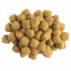 PRO PLAN VETERINARY DIETS Canine EN Gastrointestinal Dry Dog Food 12kg