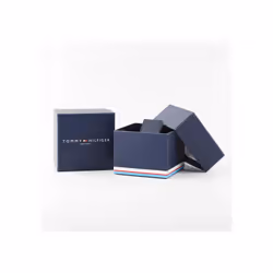 Tommy Hilfiger 1791640 Men's Watch