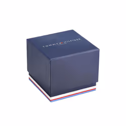 Tommy Hilfiger 1710414 Men's Watch