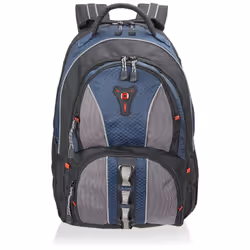 Wenger/SwissGear 600629 notebook case 40.6 cm (16") Backpack case