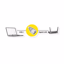 ROLINE 12.02.1111 cable gender changer USB Type C RJ-45 Black, Gold