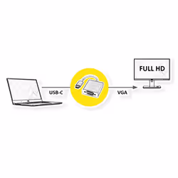 ROLINE 12033203 USB graphics adapter 1920 x 1080 pixels Silver