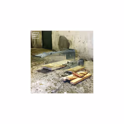 Catch Alive Trap Rat Cage. Contructed of Wood and Metal. Catch and Release. Humane Design. Indoors and Outdoors Use. Safe for children and pets. Made