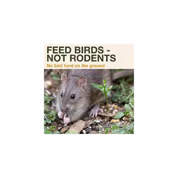 Bird Feeder Davos SMART BIRDS. Feed birds, not rodents! Robust and reliable for hanging. Dual food chambers. Made in EU. Green