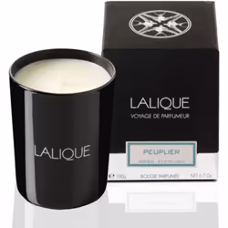 Lalique Candle 190g - Peuplier Aspen